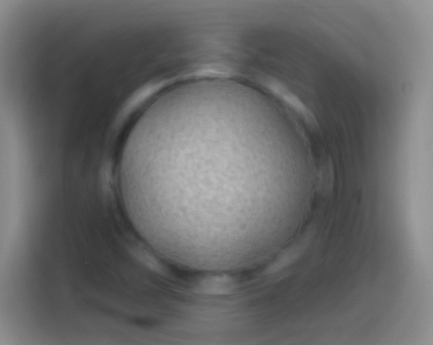 X0000113901454200910011333