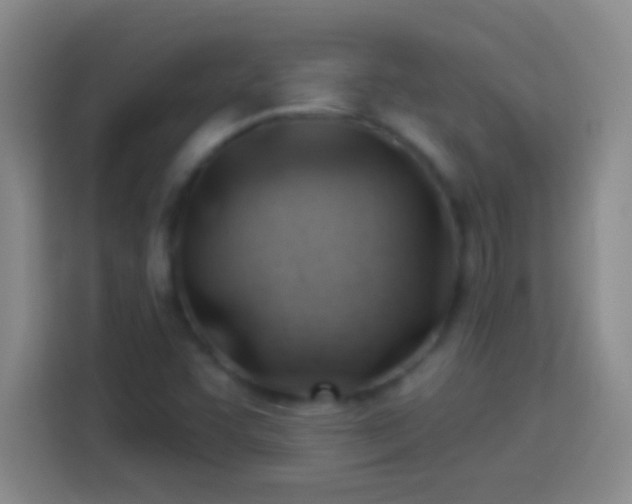 X0000113901455200910011333