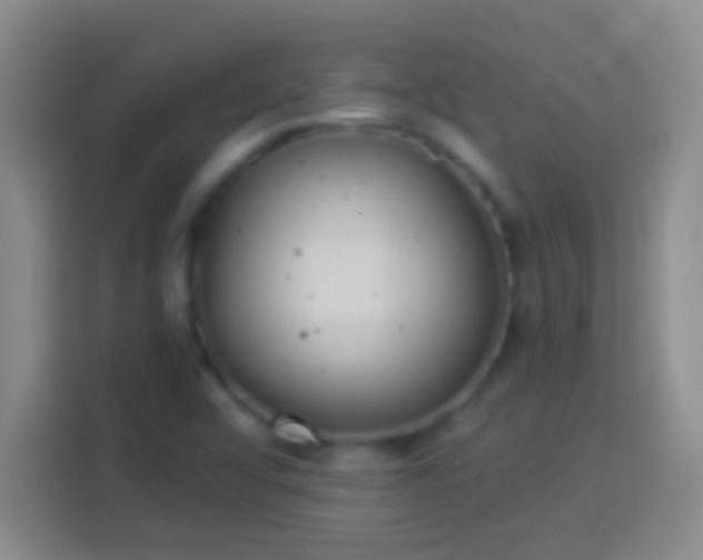 X0000113901456200910011333