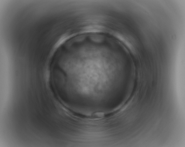 X0000113901459200910011333