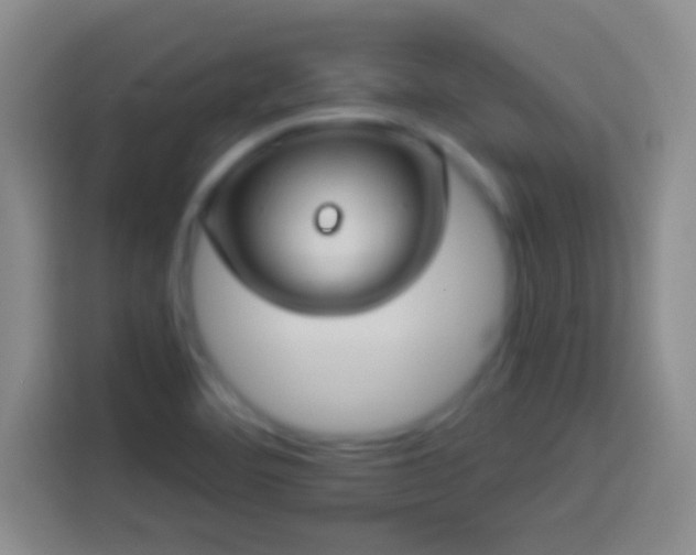 X0000113901460200910011333