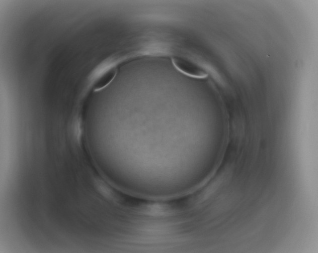 X0000113901461200910011333