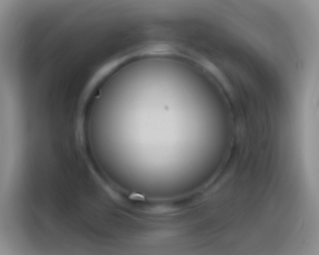 X0000113901464200910011333