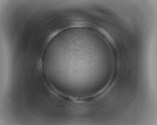 X0000113901465200910011333