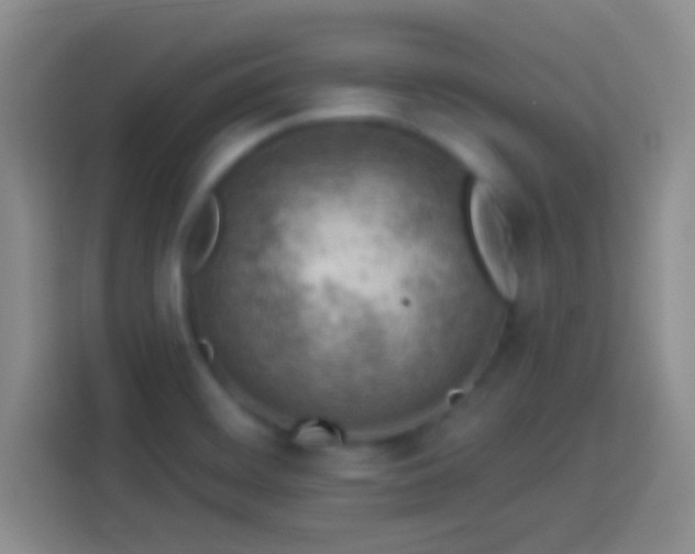 X0000113901468200910011333