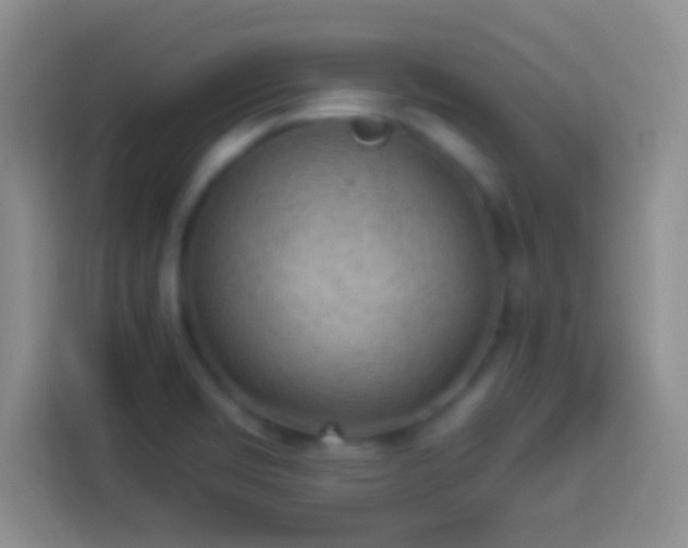 X0000113901469200910011333