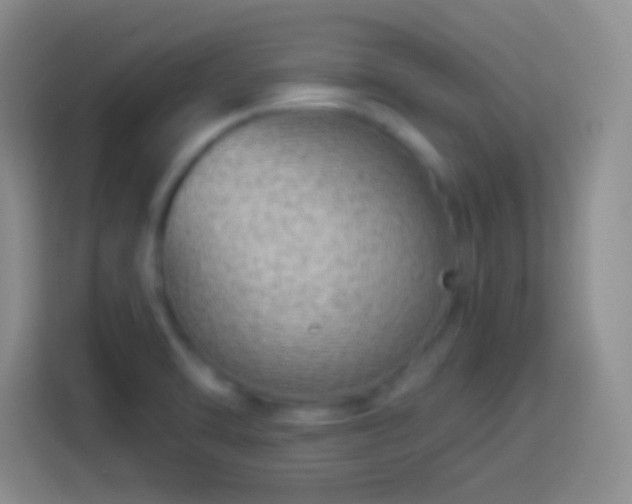 X0000113901470200910011333