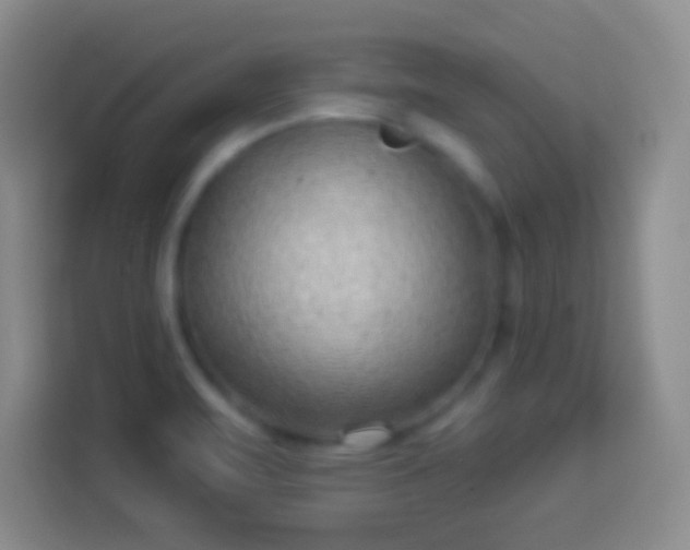 X0000113901471200910011333