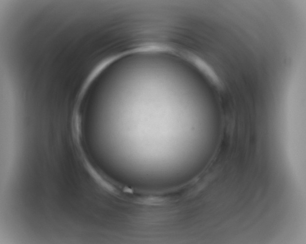 X0000113901476200910011333