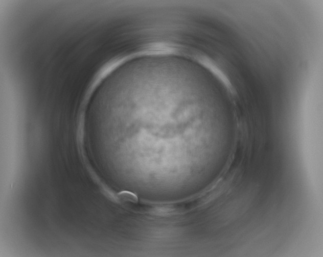 X0000113901477200910011333