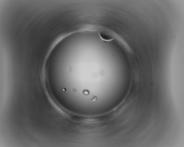 X0000113901479200910011333