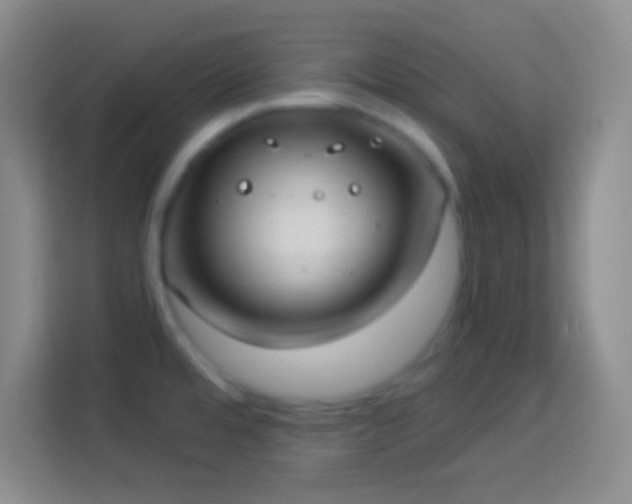 X0000113901480200910011333