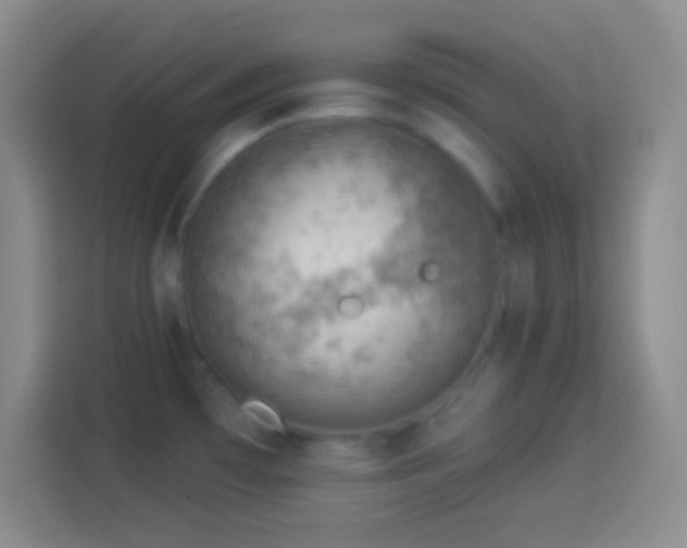 X0000113901481200910011333