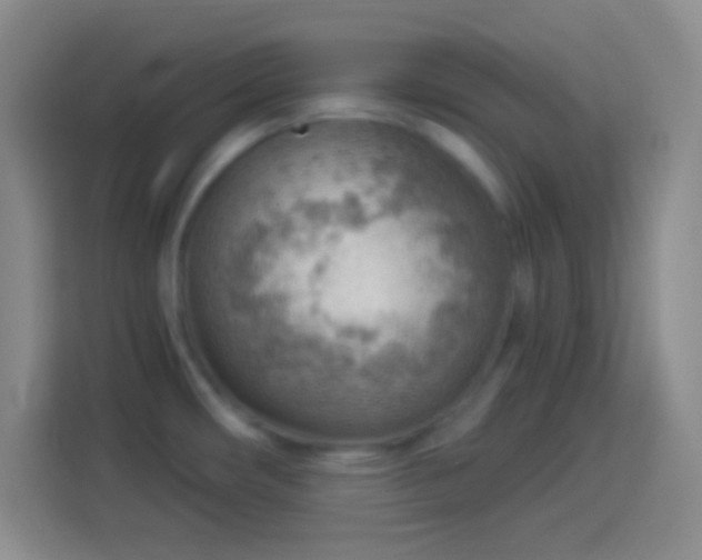 X0000113901482200910011332