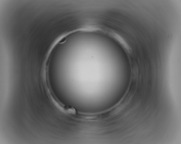 X0000113901484200910011332