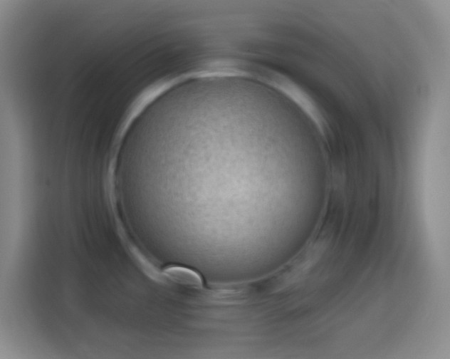 X0000113901485200910011332