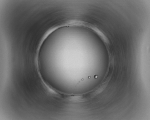 X0000113901486200910011332