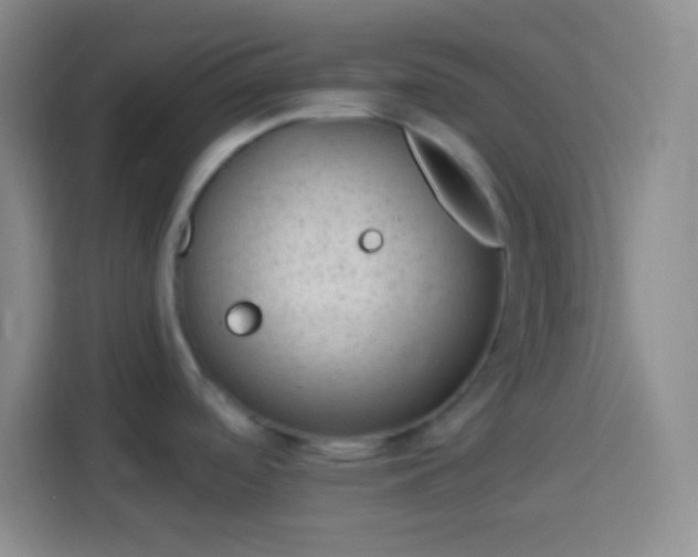 X0000113901488200910011332