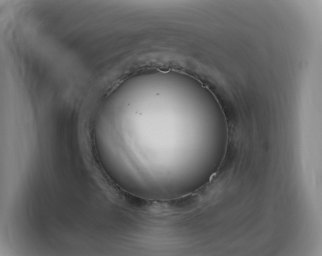 X0000113901489200910011332