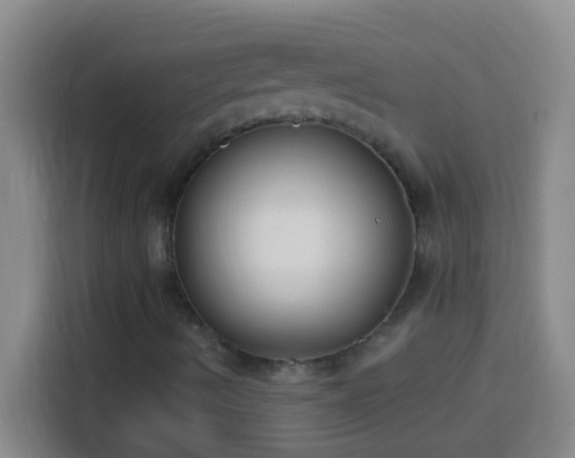 X0000113901490200910011332