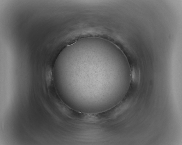 X0000113901492200910011332