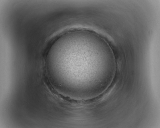 X0000113901494200910011332