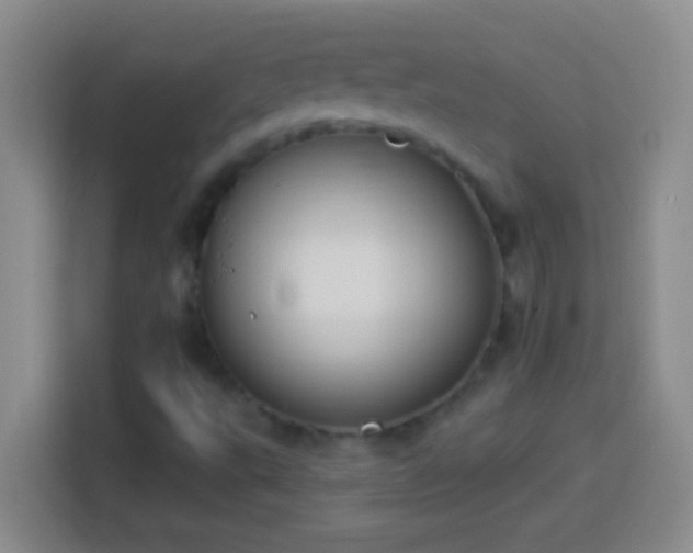 X0000113901495200910011332