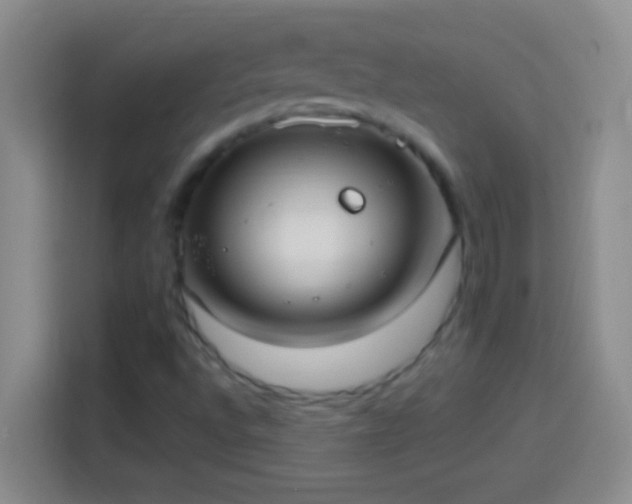 X0000113901496200910011332