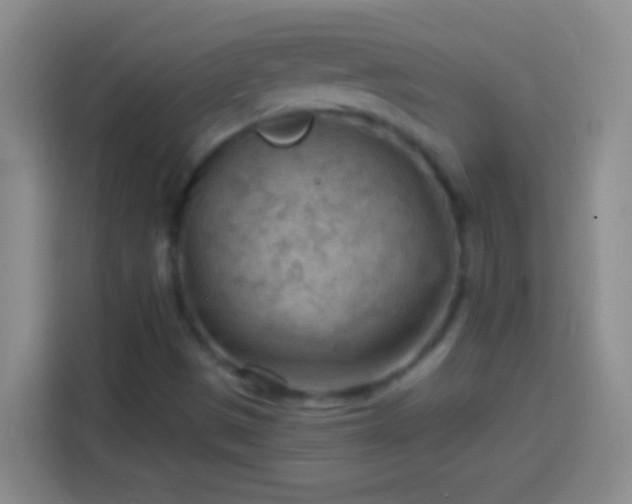 X0000113901497200910011332