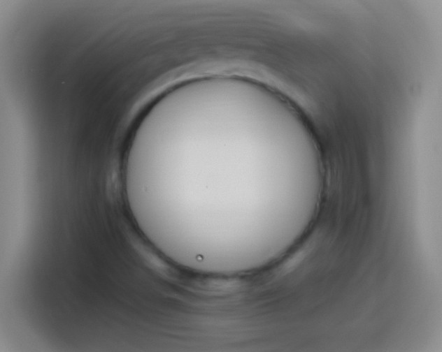 X0000113901498200910011332