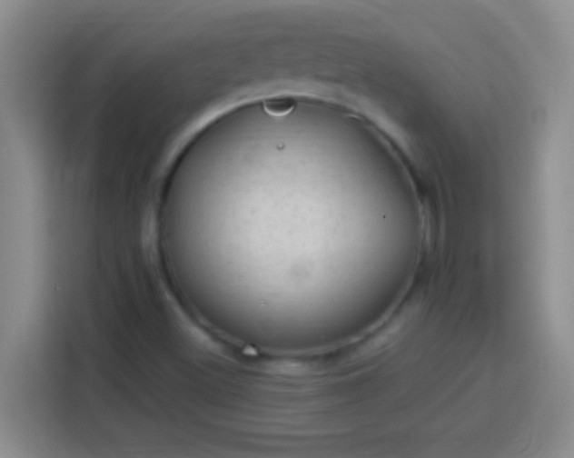 X0000113901500200910011332