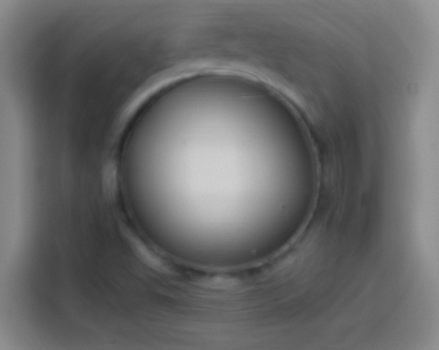 X0000113901503200910011332