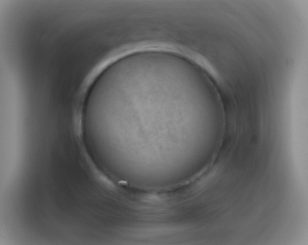 X0000113901504200910011332