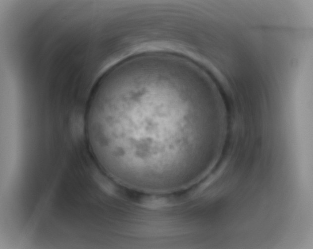 X0000113901505200910011332