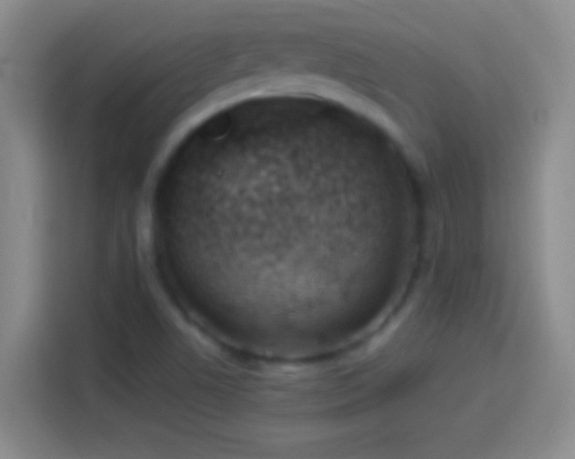 X0000113901506200910011332