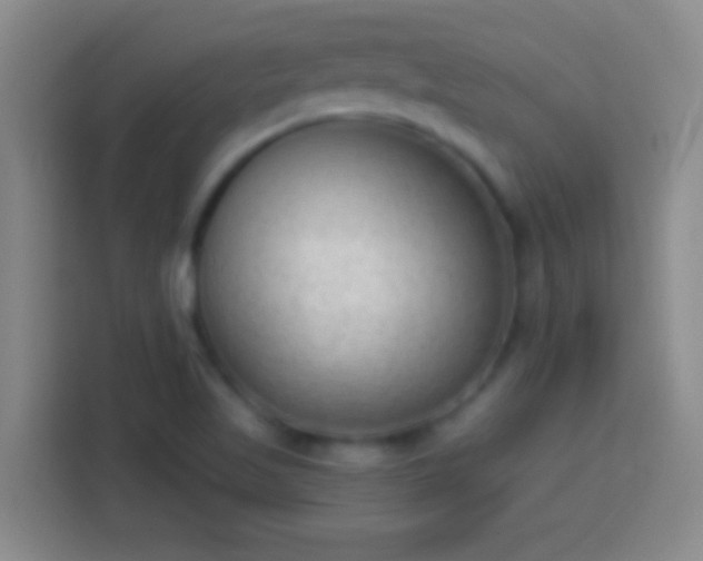 X0000113901509200910011332