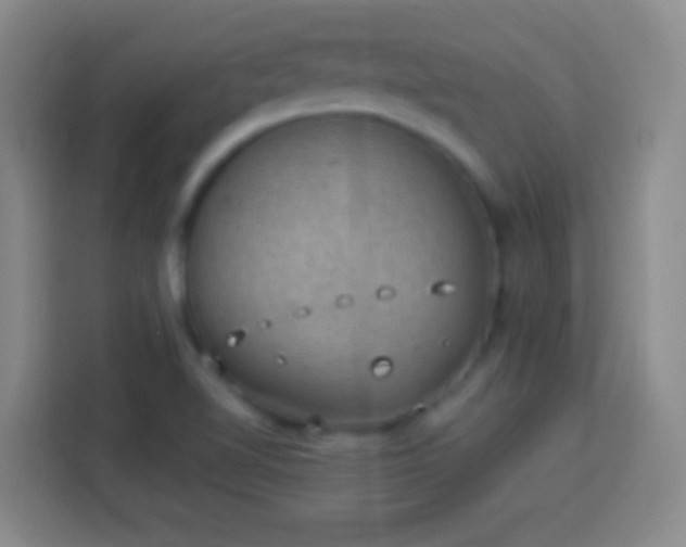 X0000113901510200910011332