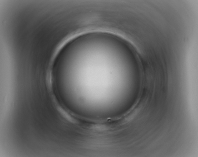 X0000113901511200910011332