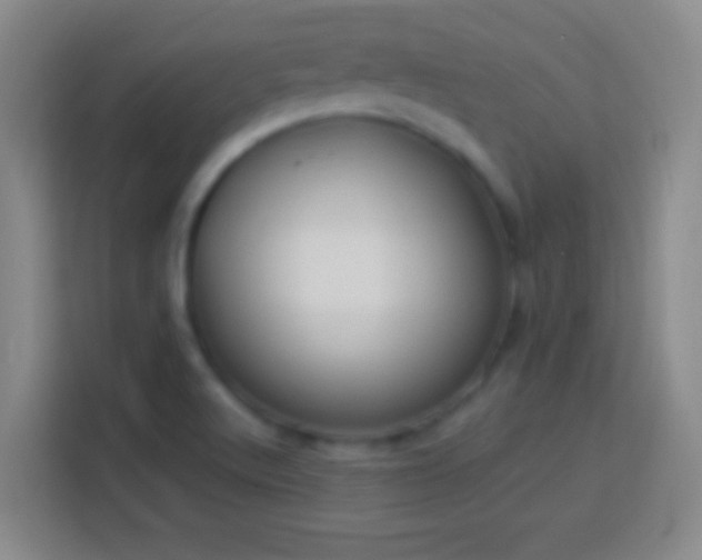 X0000113901512200910011332