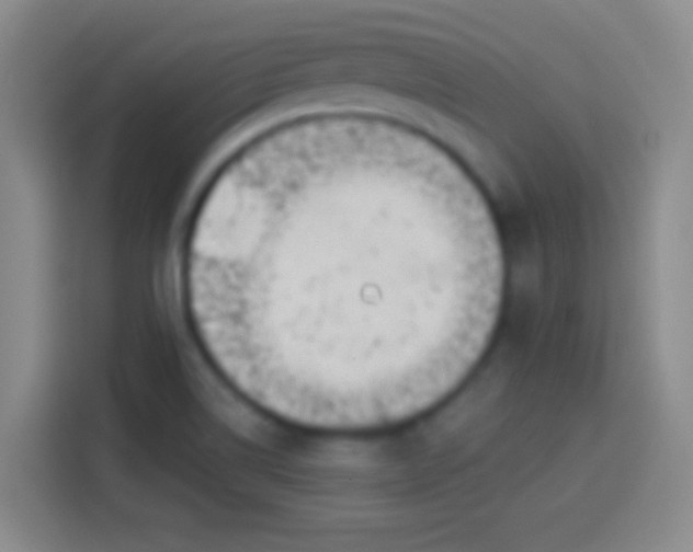 X0000113901514200910011332