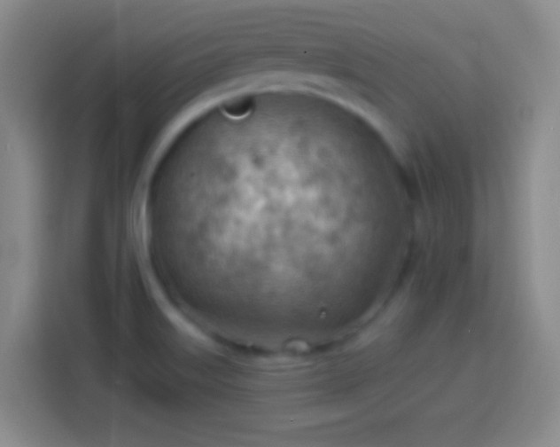 X0000113901515200910011332