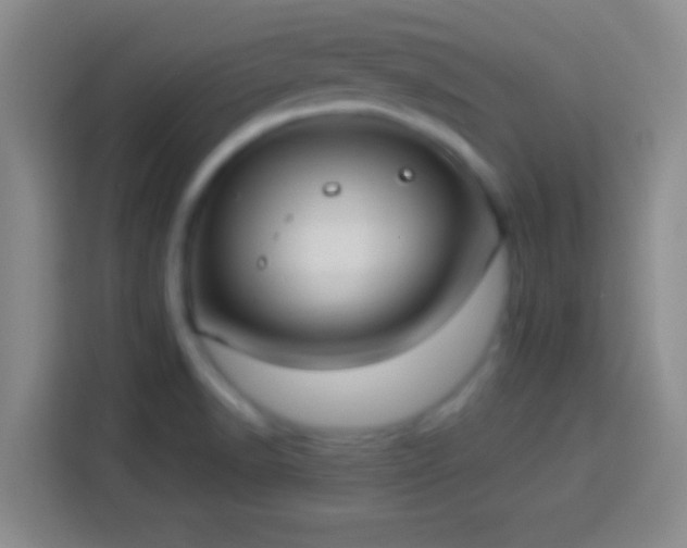 X0000113901518200910011332