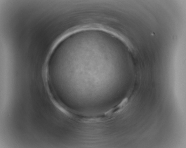 X0000113901519200910011332