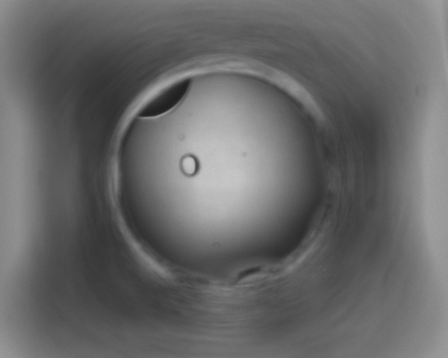 X0000113901520200910011332