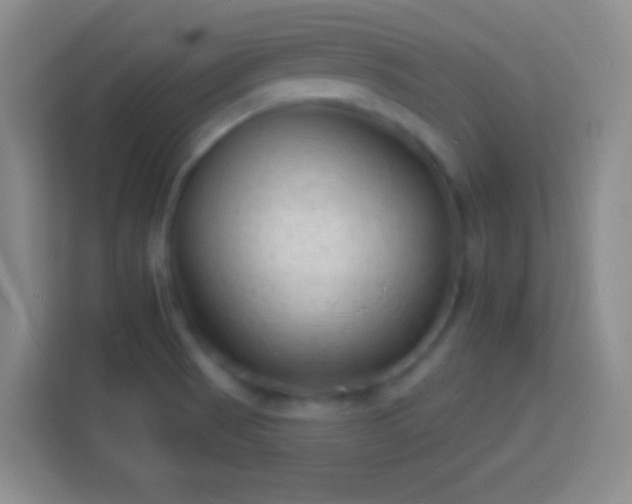 X0000113901521200910011332