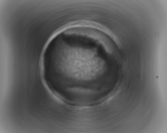 X0000113901522200910011332