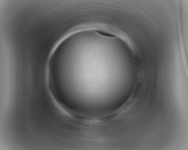 X0000113901524200910011332