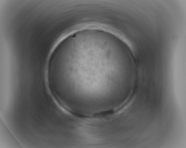 X0000113901525200910011332