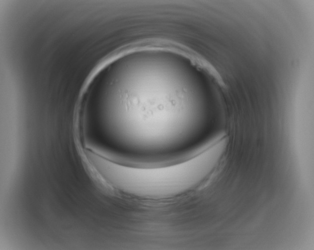 X0000113901530200910011332