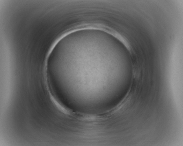 X0000113901532200910011332